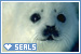 Seals: 