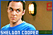  Big Bang Theory, The: Cooper, Sheldon: 